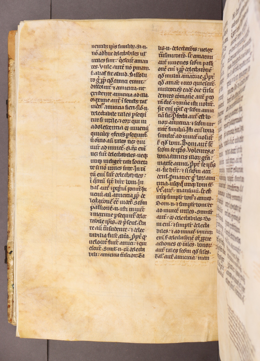 Folio 175 verso